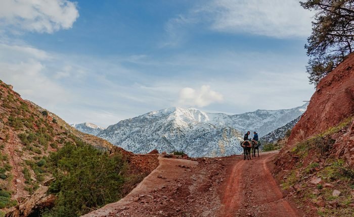 Atlas Mountains Day Trip from Marrakech