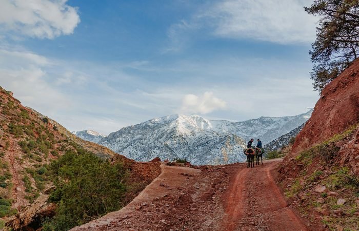 Atlas Mountains Day Trip from Marrakech