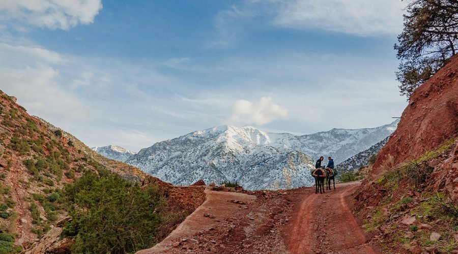 Atlas Mountains Day Trip from Marrakech